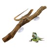 BNOSDM Reptile Decor Natural Forest Branch, Snake Climbing Branch, Reptile