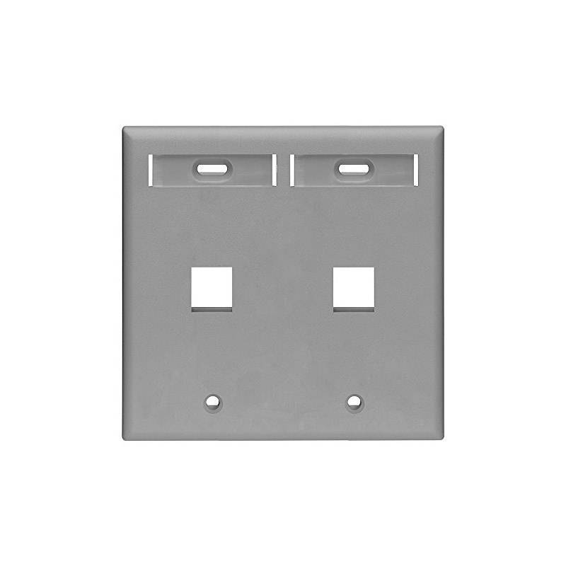 Leviton 2-Port Dual Gang QuickPort Wallplate with ID Windows, 42080-2GP,