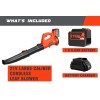 Blütezeit Cordless Leaf Blower Electric 8.0Ah Battery Power for Lawn