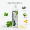 Kismera Hair Loss Shampoo 500ml + Cream 500ml Combo Set