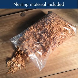 Woodlink OWL/Kestrel Screech House, 20"H