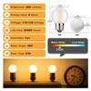 Sphoon Dimmable LED 4W Globe Light Bulb,40W Equivalent E26 Standard