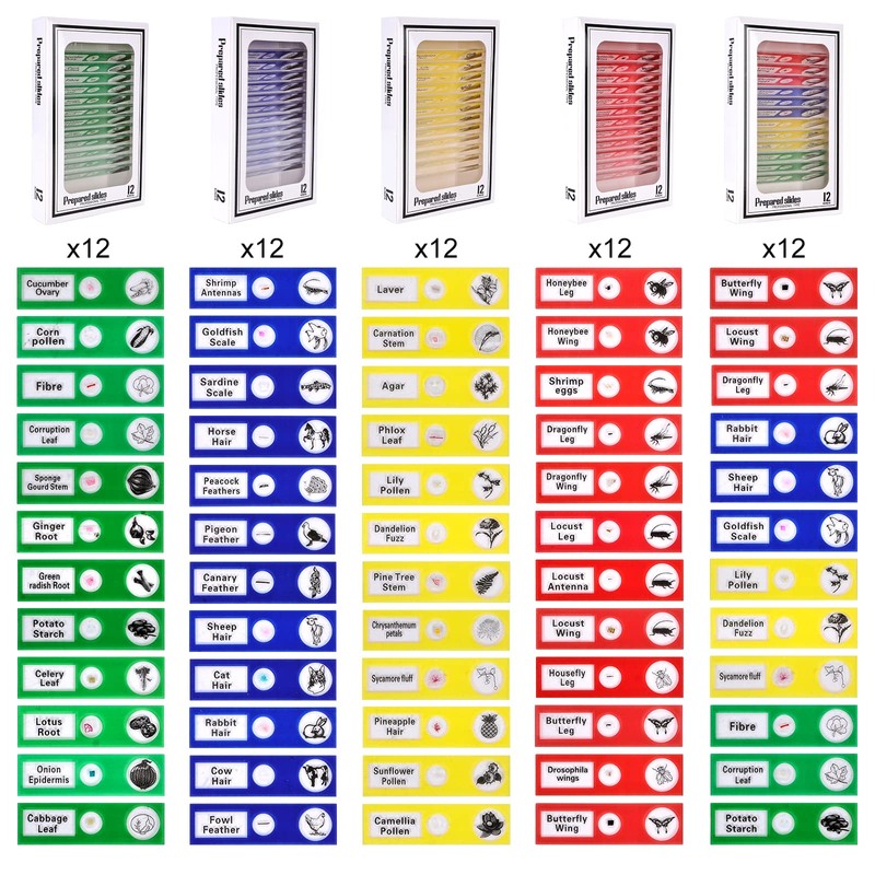Vegena Pack of 60 Microscope Slides Microscope Preparations Children with