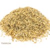 Yarrow and Green Tea Herbal Infusion (Gyokuro - 25 Unbleached