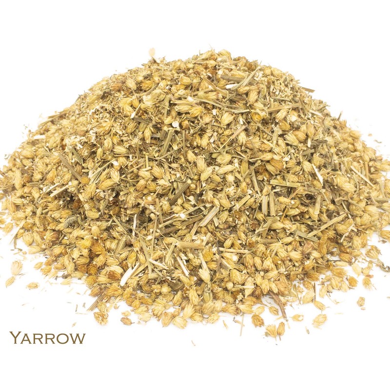 Yarrow and Green Tea Herbal Infusion (Gyokuro - 25 Unbleached