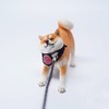 MMOS X JXK Shiba Inu Struggling with Mischief Dog Statue