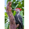 Hi-Line Gift Ltd. Pileated Woodpecker on Tree Trunk Garden Statue