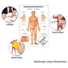 Sport-Tec Body Acupuncture II Mini Poster Anatomy 34 x 24