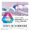 【正規品】Panasonic Replacement Brush Doltz Superfine Brush Compact, Set of 2