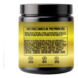 Suplemento Polvo Vikingo Supplement Suplementos Proteína Protein Isolate Sabor Capuchino 500g
