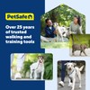 PetSafe Sure-Fit Harness - Maximum Adjustability - Soft Padded Straps