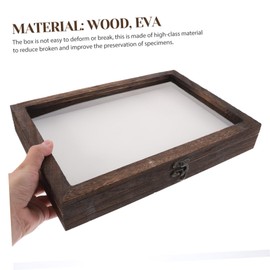 VILLFUL 1set Wooden Display Box for Specimens Butterflies Display Case with Transparent Lid and Mat Exquisite Craftsmanship for Desktop Decoration