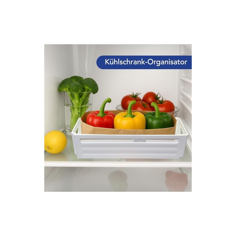 Rosenstein & Söhne Set of 2 Kitchen Cupboard Organisers, Foldable,