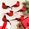 Berfutall-Cardinal Clip On Christmas Tree Ornament Decorations - Red Feathers