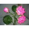 Plastic Artificial Lotus Flower Stick 40" Long