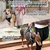 PUPTECK Escape Proof Dog Harness with Padded Handle, No Pull