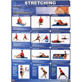 Productive Fitness Lower Body Stretching Exercises Poster 24" x 36" Laminated