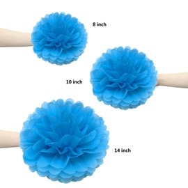 SD SPARKLING DREAM Tissue Paper Pompoms Rainbow Paper Flowers for Party Decorations, Birthday, Wedding Party, Pack of 15 in 20 cm, 25 cm, 35 cm