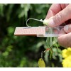 DMT FF70F Diamond Angler Mini-Sharp Sharpener - Fine