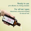 Nature Spell Dandruff Complex Hair Oil, Pre-Diluted Scalp Oil, Helps