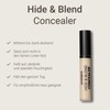 Sandstone Scandinavia Hypoallergenic Concealer Beige | N25 | For Covering