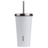 Decor Double Wall Stainless Steel Tumbler, Assorted, 450 ml Capacity