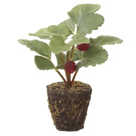 SilksAreForever 6.5" Artificial Raspberry Fruit Plant w/Soil & Roots -Raspberry (Pack of 12)