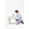 PETHROOM [Festroom] Anti-Shock Manners Leash Dog Walking Lead Neck Collar