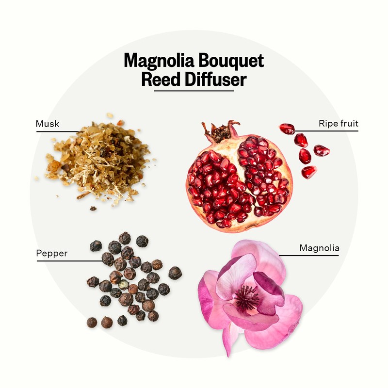 Apotheke Luxury Scented Oil Reed Diffuser for Home (Magnolia Bouquet)