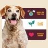 PETIPET Turmeric + Curcumin - Natural, Human-Grade Allergy Relief Soft