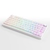 MOLGRIA x SKYLOONG 75% Gaming Keyboard, GK75 HE USB Wired