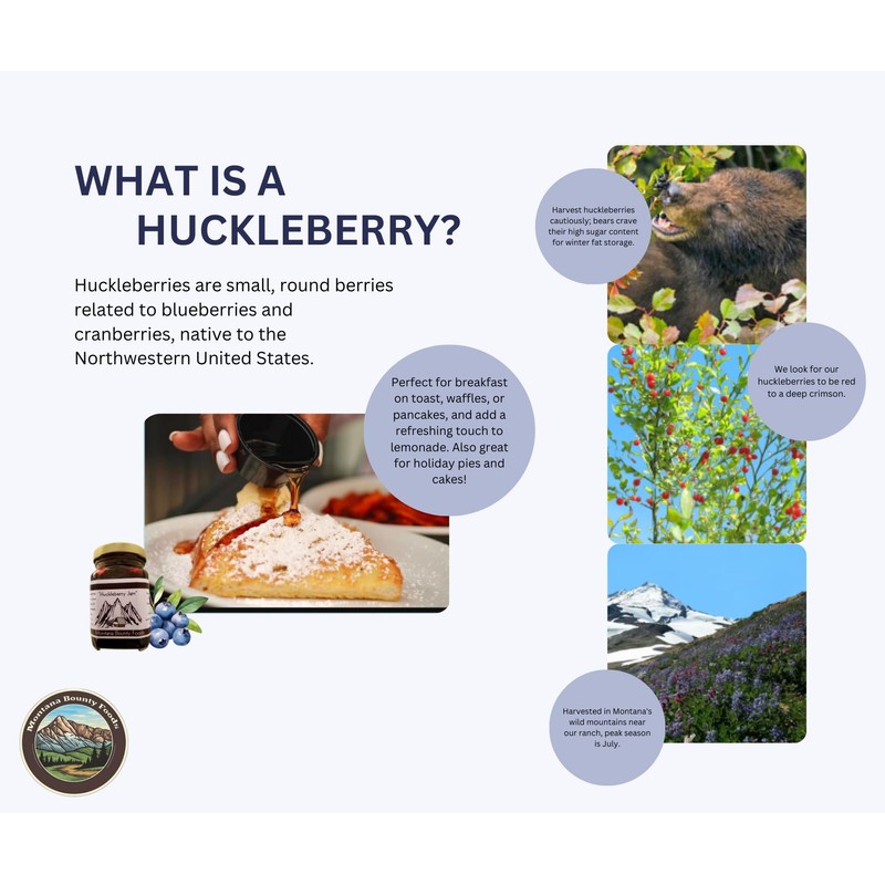 Bounty Foods Huckleberry Jam 2 Pack of 9 oz Jar