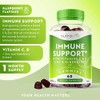 Immune Support Gummies - Elderberry Extract (4500mg Equivalent), Vitamin D