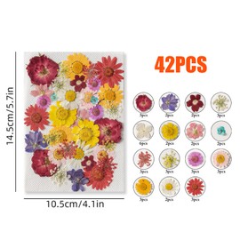 Cayway 42 Pcs Real Pressed Flowers Dry with Tweezers Set, Dried Pressed Flowers Colorful Real Pressed Flowers for Resin Scrapbooking DIY Art Crafts, Epoxy Resin Jewelry, Soap Making