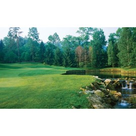 Biggies- Window Well Scenes Wall Art- Fairway, 60" x 120"