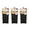 Atsugi FS6642 FS6642 Women's High Socks, Silk Filled Below Knee