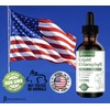 [2-Pack] Liquid Chlorophyll Drops - All-Natural Concentrate – Immune System