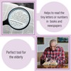 Mr. Pen- Magnifying Glass, 2 Pack, 10X Magnifier, 75mm Glass