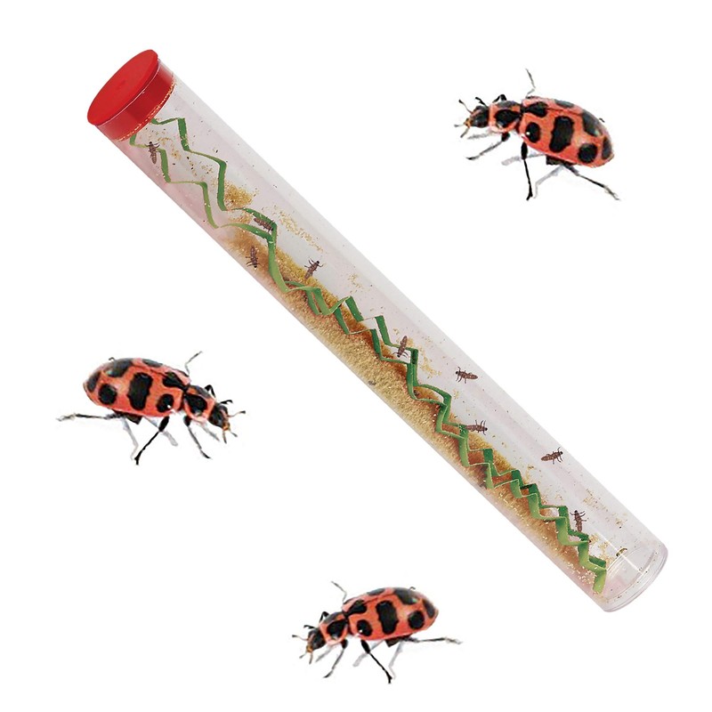 Insect Lore Live Ladybug Growing Kit | Ladybug Land Habitat