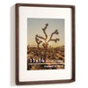 RICHFOCUS 11x14 Picture Frame USA-Sourced Natural Walnut Solid Wood Photo