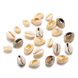 500pcs Gray 20mm Natural Spiral Shell Beads Smooth Cut Oval Beach Seashells Cowrie Shell Loose Spacer Beads Charms No Hole for Beach Ocean Summer Bracelet Necklace Jewelry Making