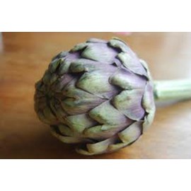 Artichoke, Green Globe, Heirloom, 100+ Seeds, Large Healthy Tasty Veggie