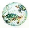 Sigrid Olsen Sea Turtle Melamine Serving Platter 11 inches by