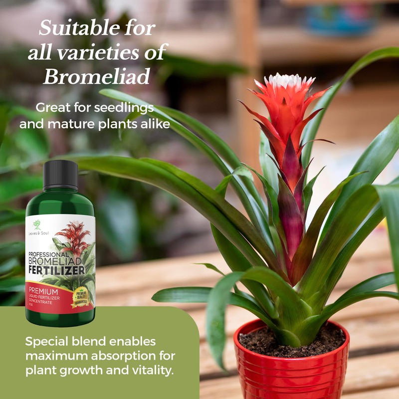 Professional Liquid Bromeliad Plant Fertilizer | 3-1-2 Concentrate for Plants