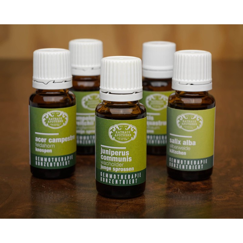 RATHAUS APOTHEKE WIEN Concentrated Bud Extract - Gemmotherapy - Syringa
