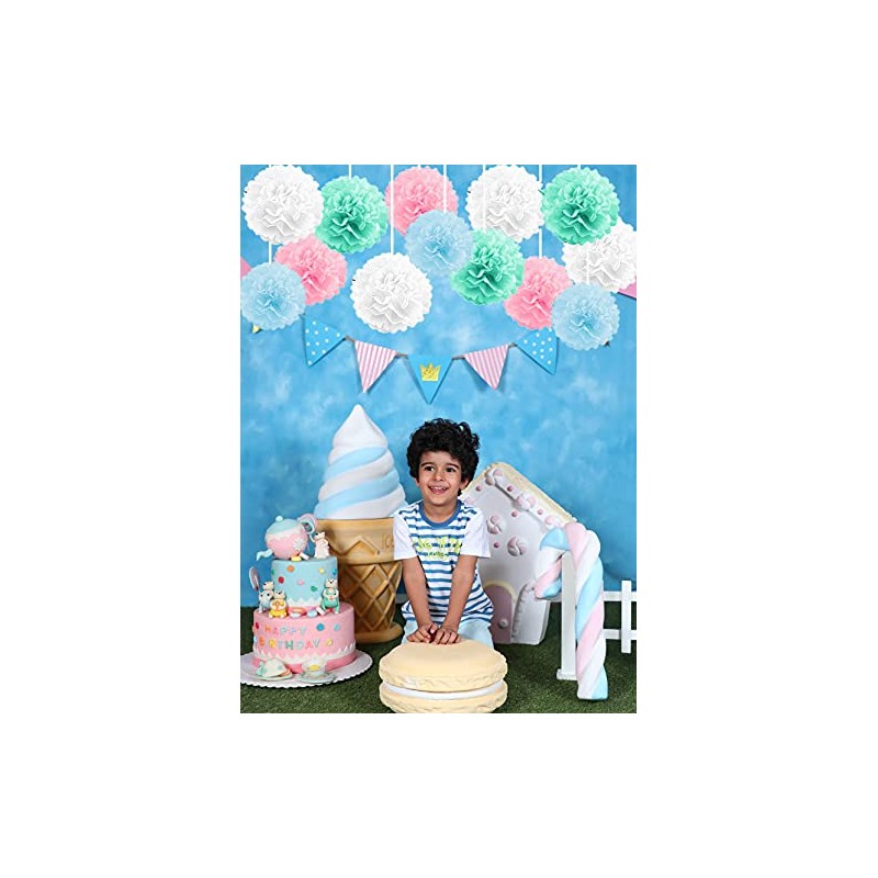 Pack of 10 Tissue Paper Flower Ball Pom pom Party