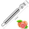 Pack of 2 Stainless Steel Orange Peeler Lemon Grater Zester