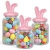 Potchen Easter Glass Jars with Airtight Lids Set of 3,