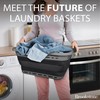 BROOKSTONE, 1 UNIT, 11 GALLONS - [OUR LARGEST BASKET EVER]