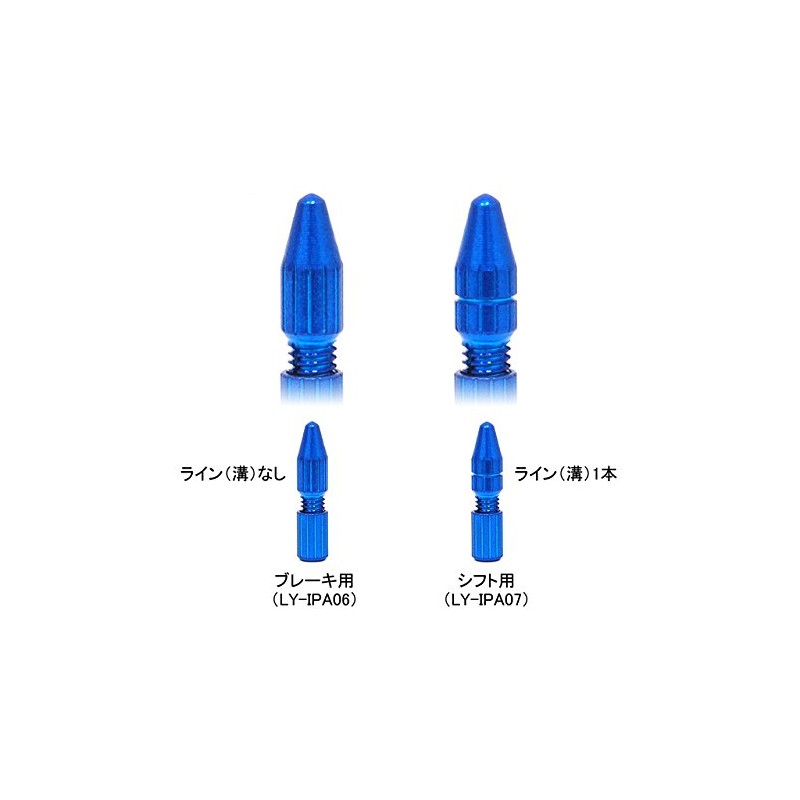 Alligator (Alligator) LY – IPA07 sukuryu-inna-kyappu (Shift) For 2 Pack Black 151 – 00395 